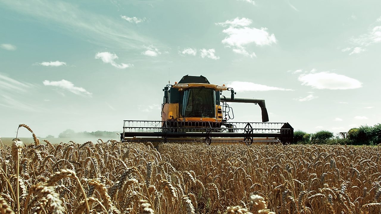 Moissonneuse-batteuse jaune récoltant un champ de blé doré sous un ciel bleu d'été