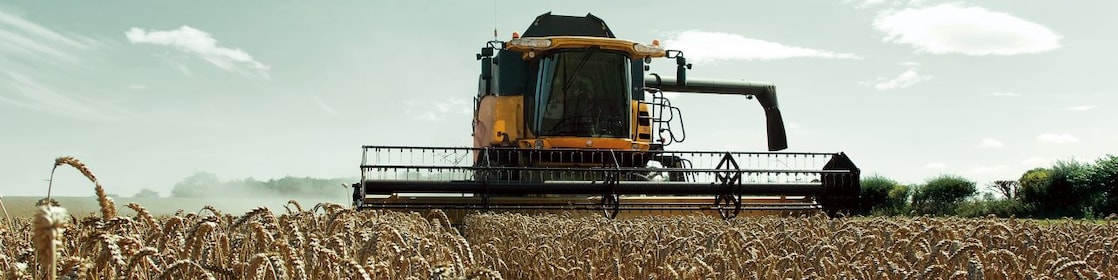 Moissonneuse-batteuse jaune récoltant un champ de blé doré sous un ciel bleu d'été